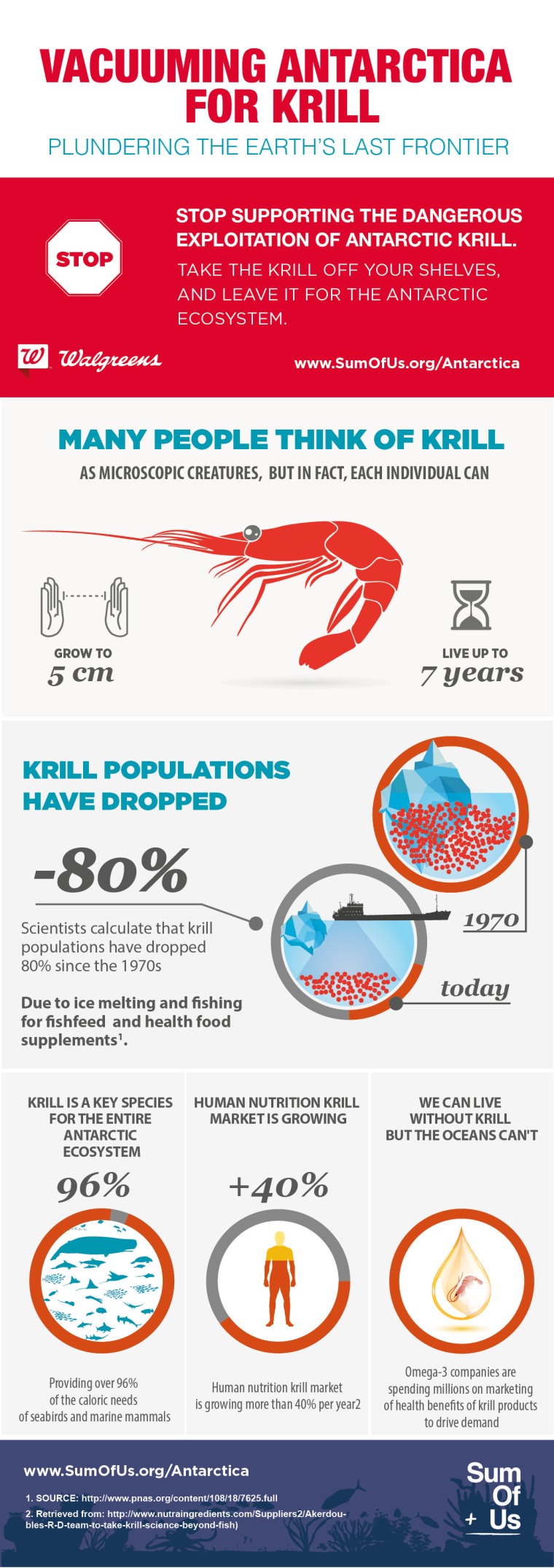 Krill_Infographic